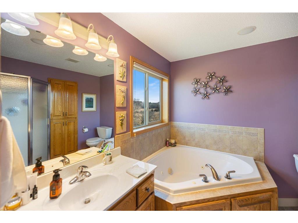 21331 Queen Court NW Elk River MN 55330 7036467 image24