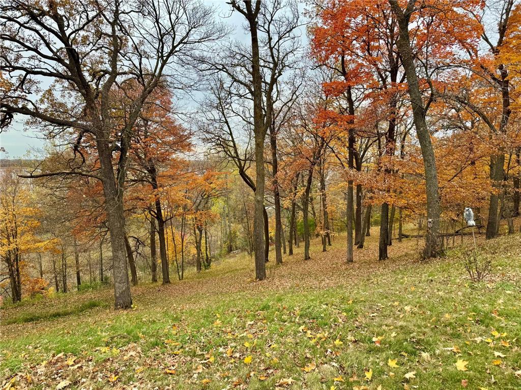 21334 Clay Lane Erhard MN 56534 - Long Lake 6809773 image10