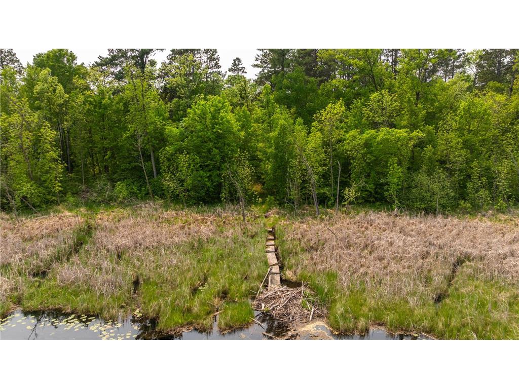 21341 County 50 Park Rapids MN 56470 6731150 image27