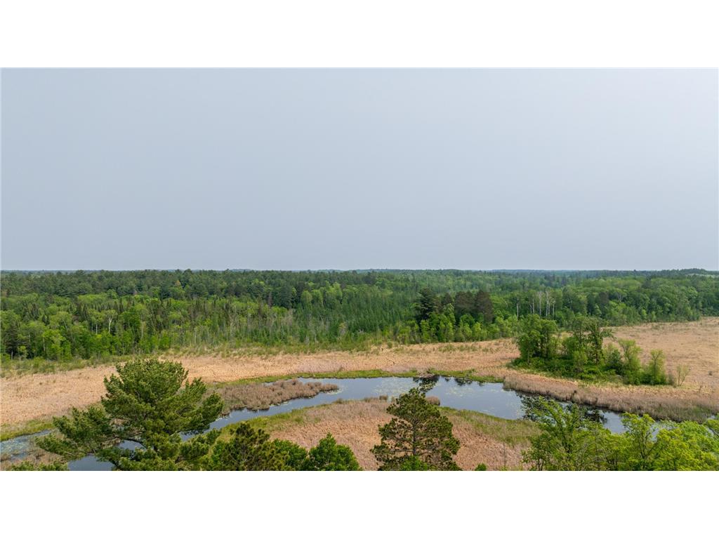 21341 County 50 Park Rapids MN 56470 6731150 image28