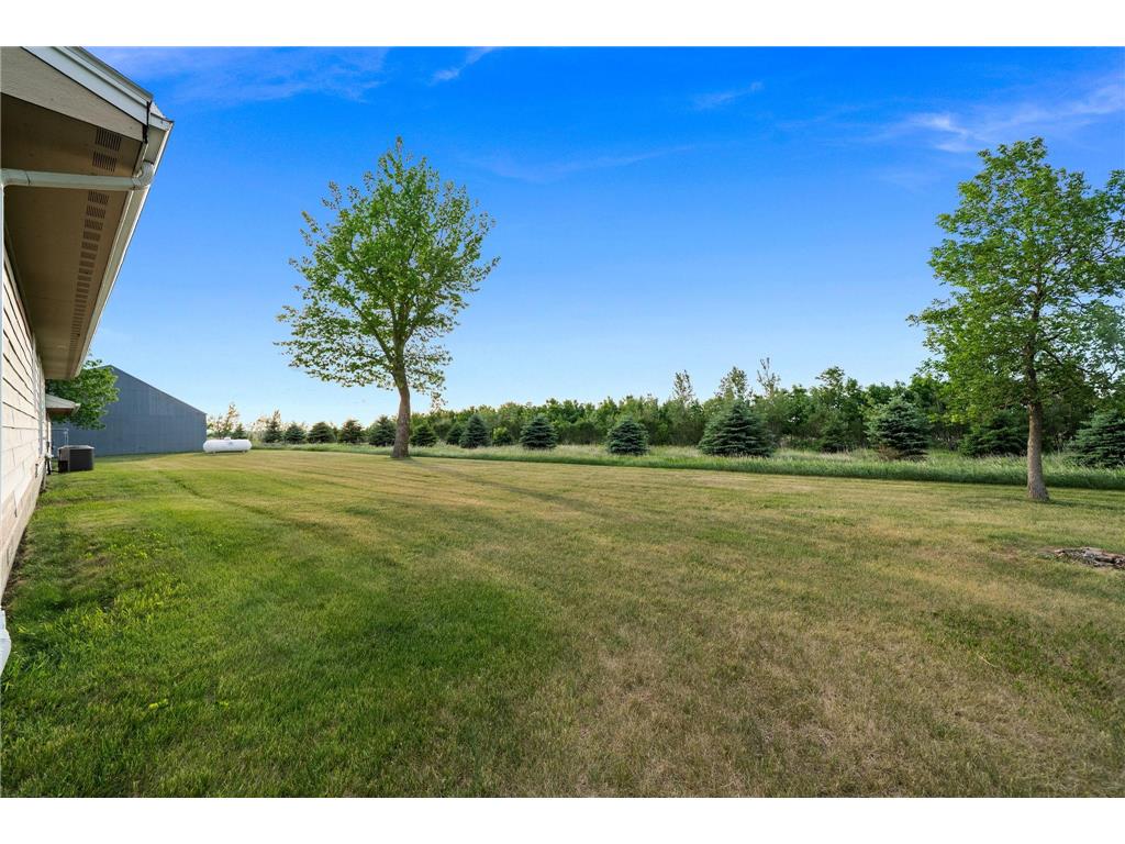 2137 50th Avenue Rose Dell Twp MN 56144 7084872 image4