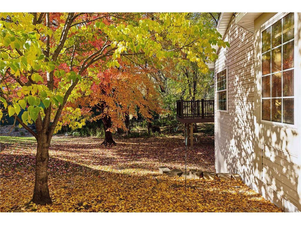 2137 Albemarle Court N Roseville MN 55113 6824606 image44