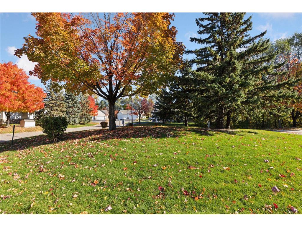 2137 Albemarle Court N Roseville MN 55113 6824606 image48