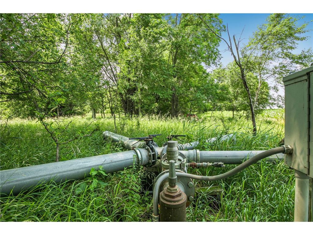 21372 273rd Ave Paynesville MN 56362 7068126 image122