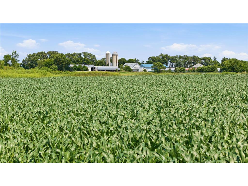 21372 273rd Ave Paynesville MN 56362 7068126 image154