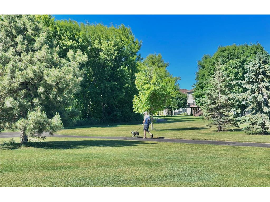 21376 Hytrail Circle Lakeville MN 55044 7095268 image51