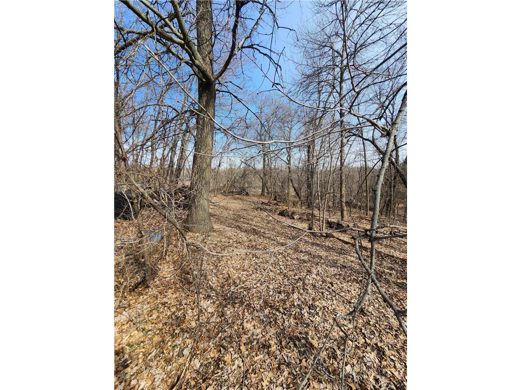 21391 Rum River Drive Oak Grove MN 55303 - Rum River 7074919 image28