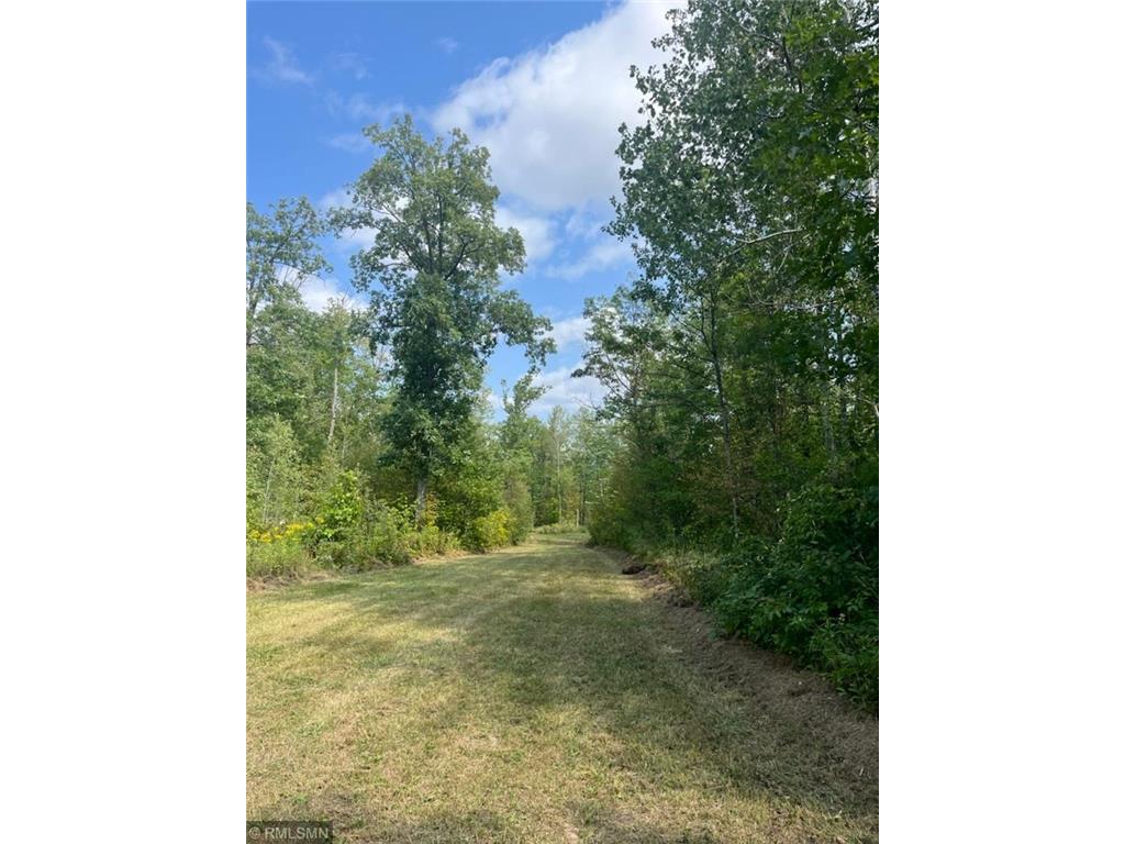 21398 Dam Lake Street, McGregor, MN, 55760 MLS 6257677 Edina Realty