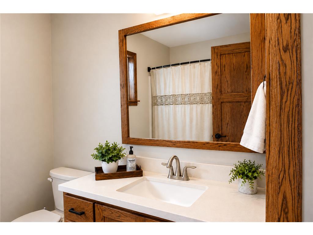 214 Woolgrass Way Avon MN 56310 7072965 image17