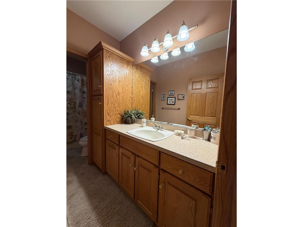 2140 State Highway 23 Lyons Twp MN 56157 7011606 image48