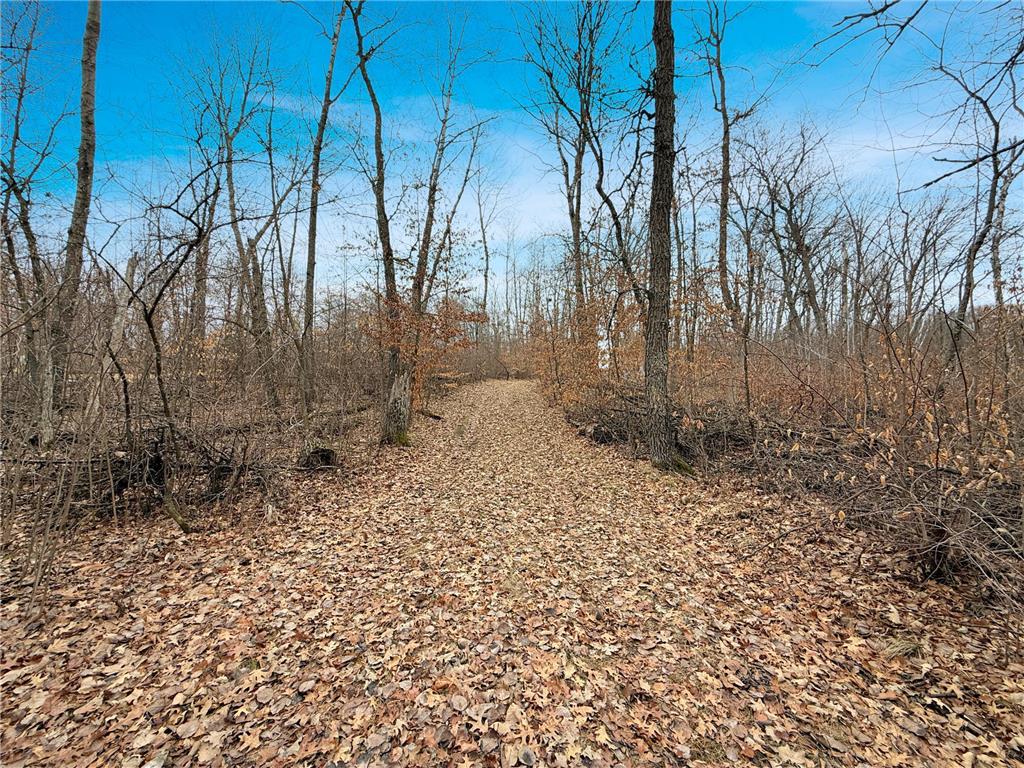 21404 Fair Oaks Drive Nevis MN 56467 - Shallow Lake 7061316 image4