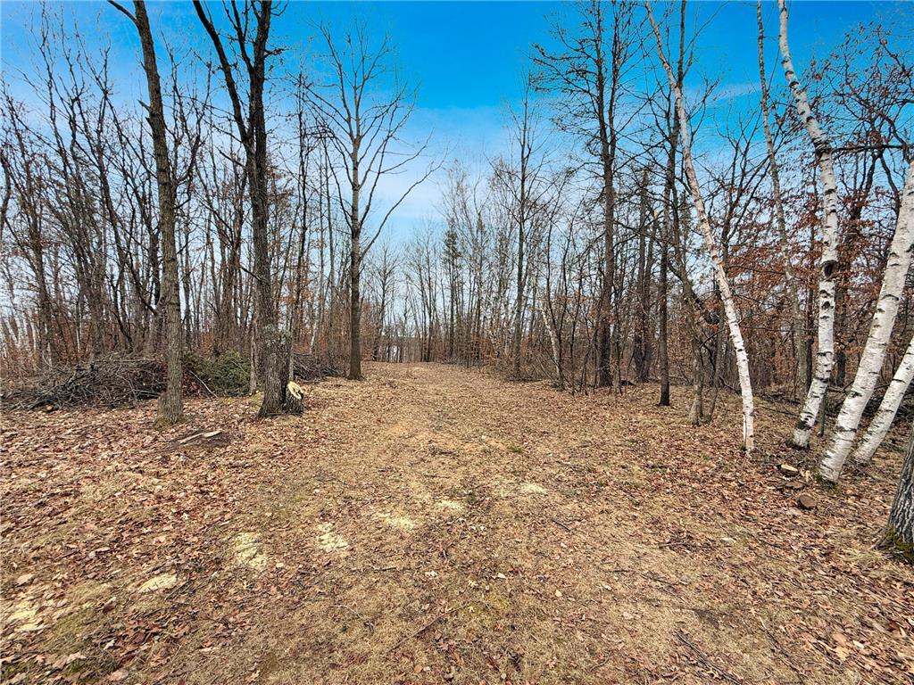 21404 Fair Oaks Drive Nevis MN 56467 - Shallow Lake 7061316 image5