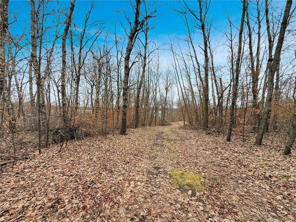 21404 Fair Oaks Drive Nevis MN 56467 - Shallow Lake 7061316 image6