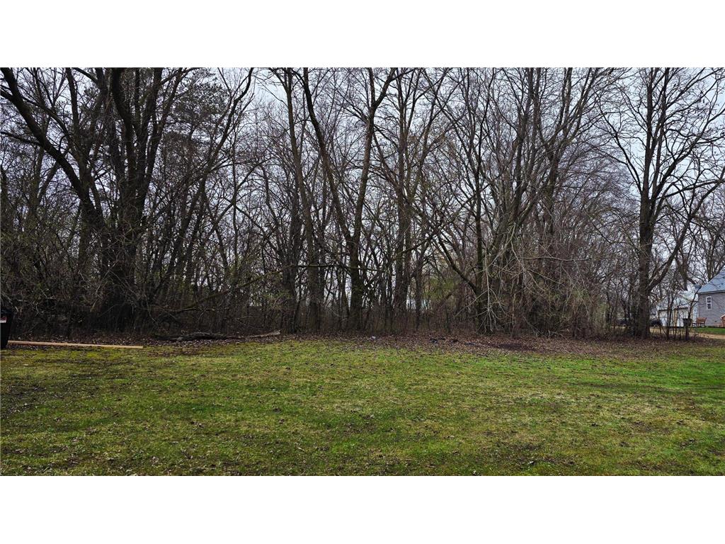 21451 775th Avenue Albert Lea MN 56007 7057335 image20
