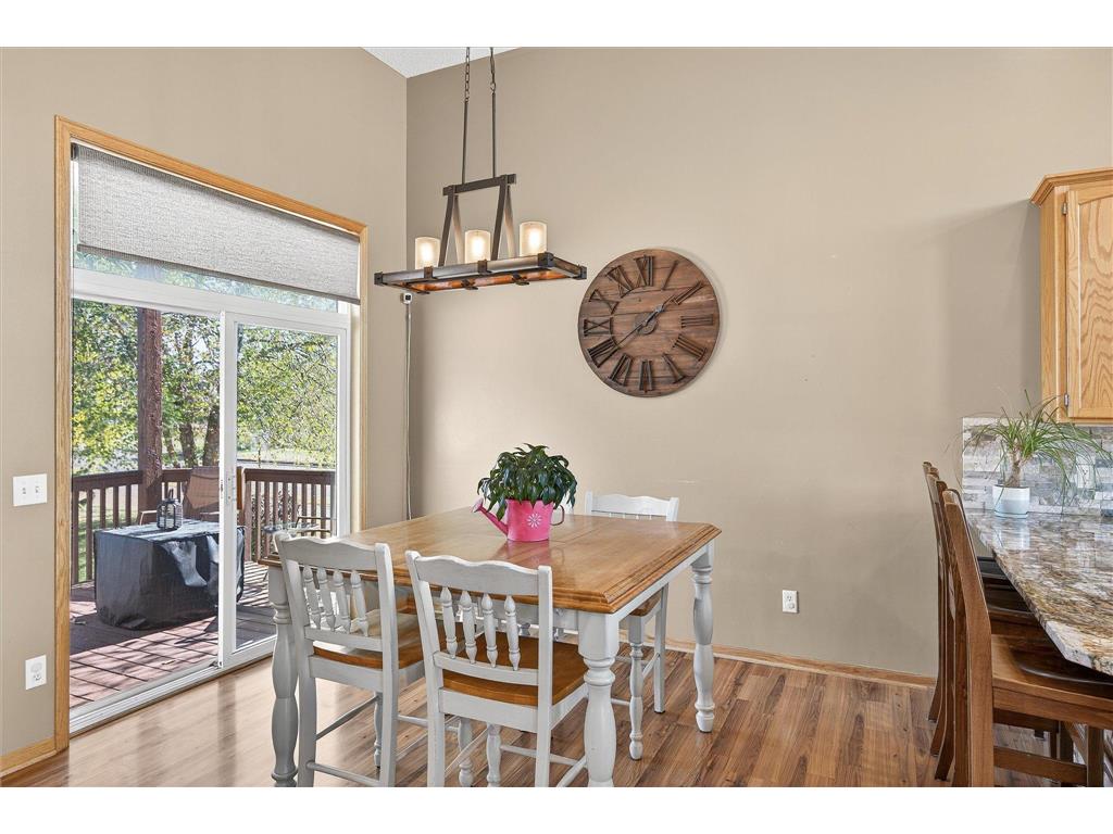 21453 Lena Trail Big Lake MN 55309 6797184 image13