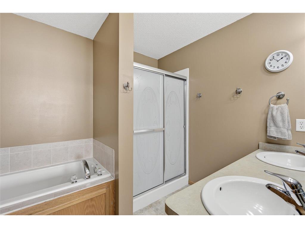 21453 Lena Trail Big Lake MN 55309 6797184 image28