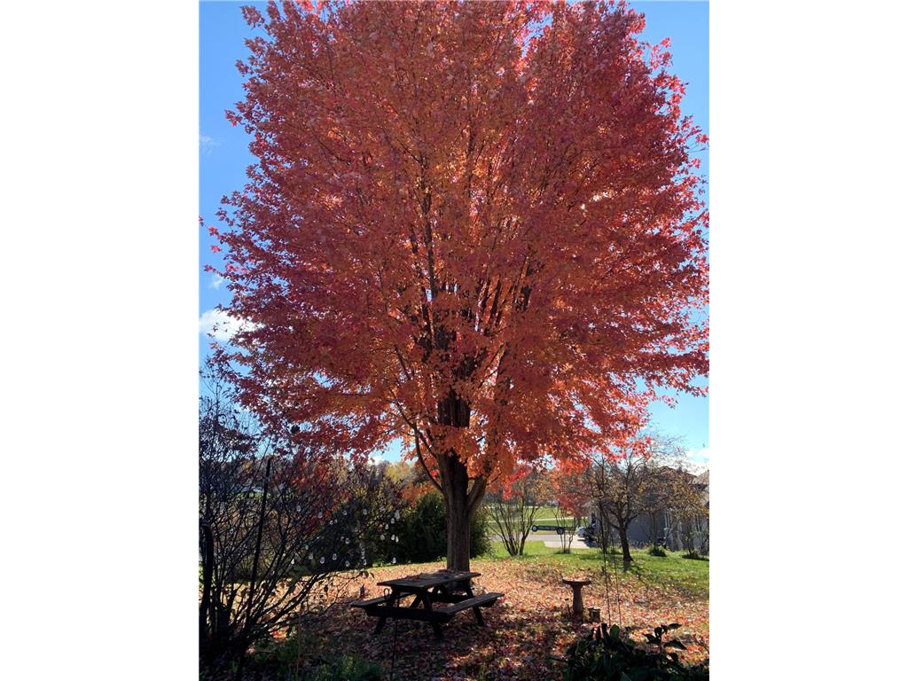 2146 84th Avenue Osceola WI 54020 6815492 image30