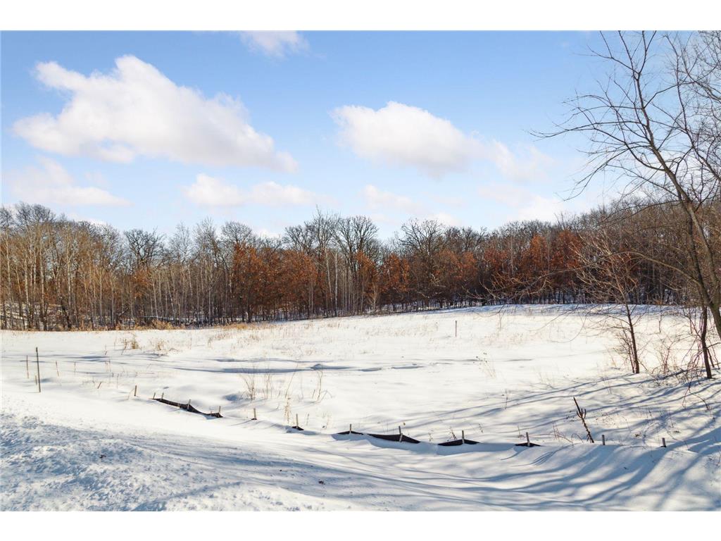 21461 Crescent Curve Lakeville MN 55044 6438851 image1