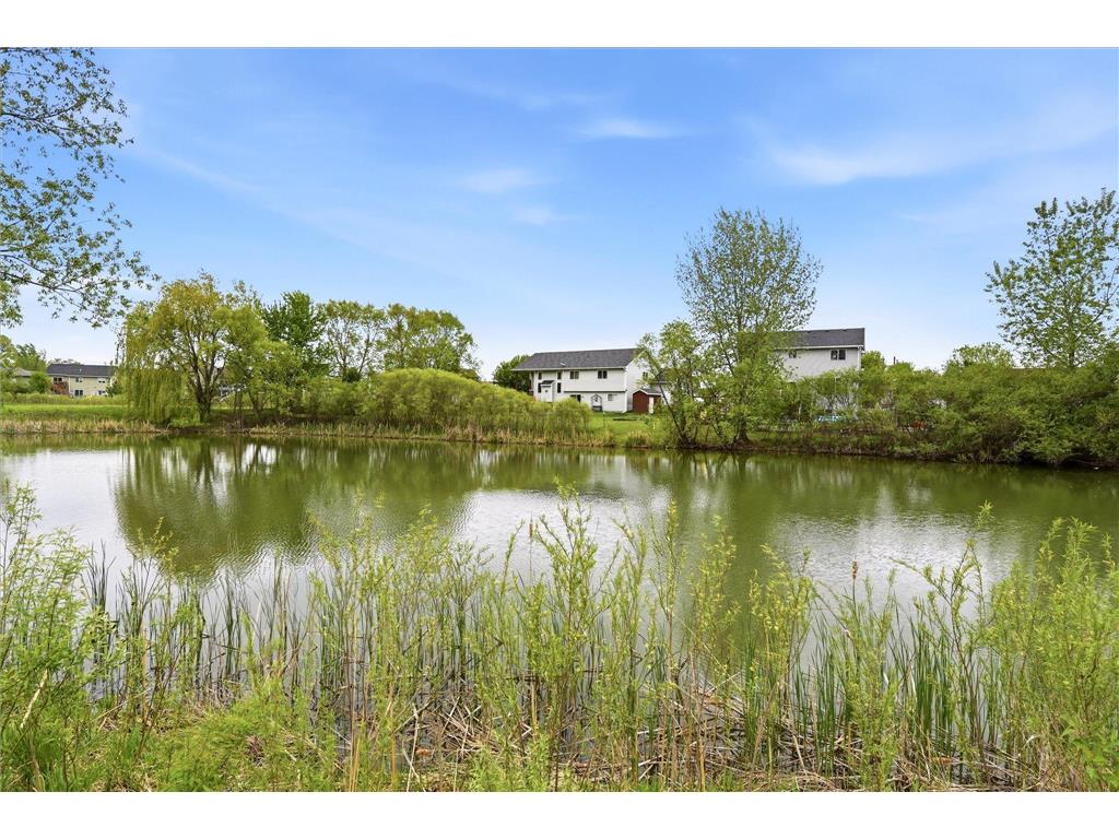 21481 Lena Trail Big Lake MN 55309 7071714 image5