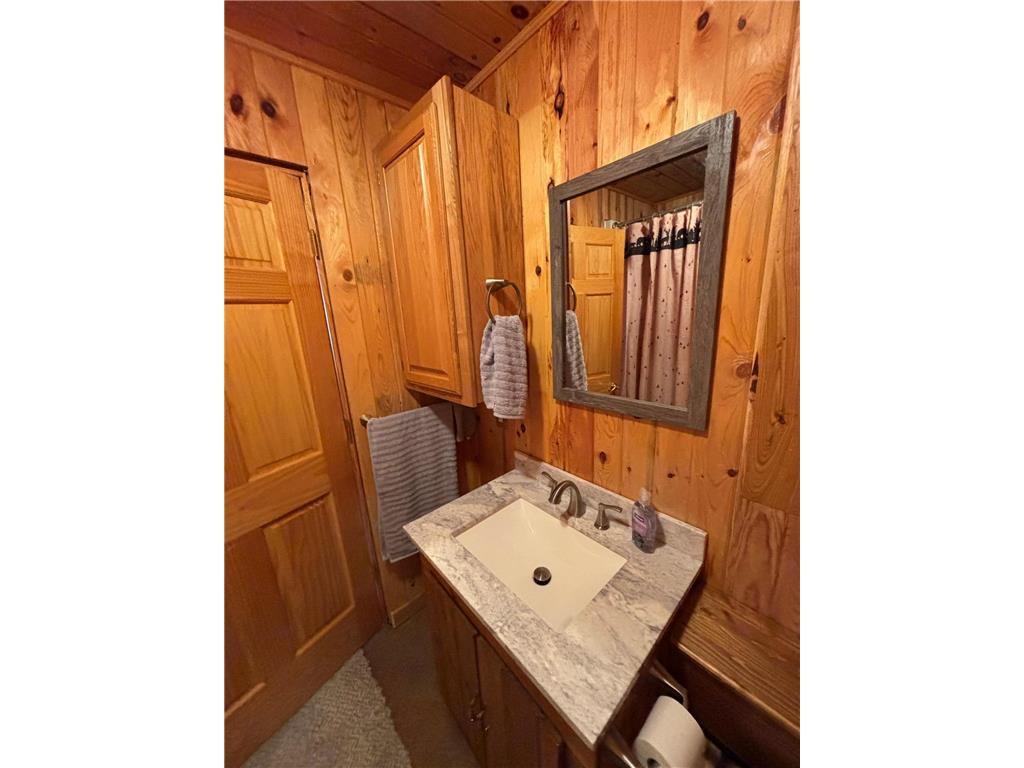 21482 Five Island Lake Road Cook MN 55723 - Five Island 6810400 image19