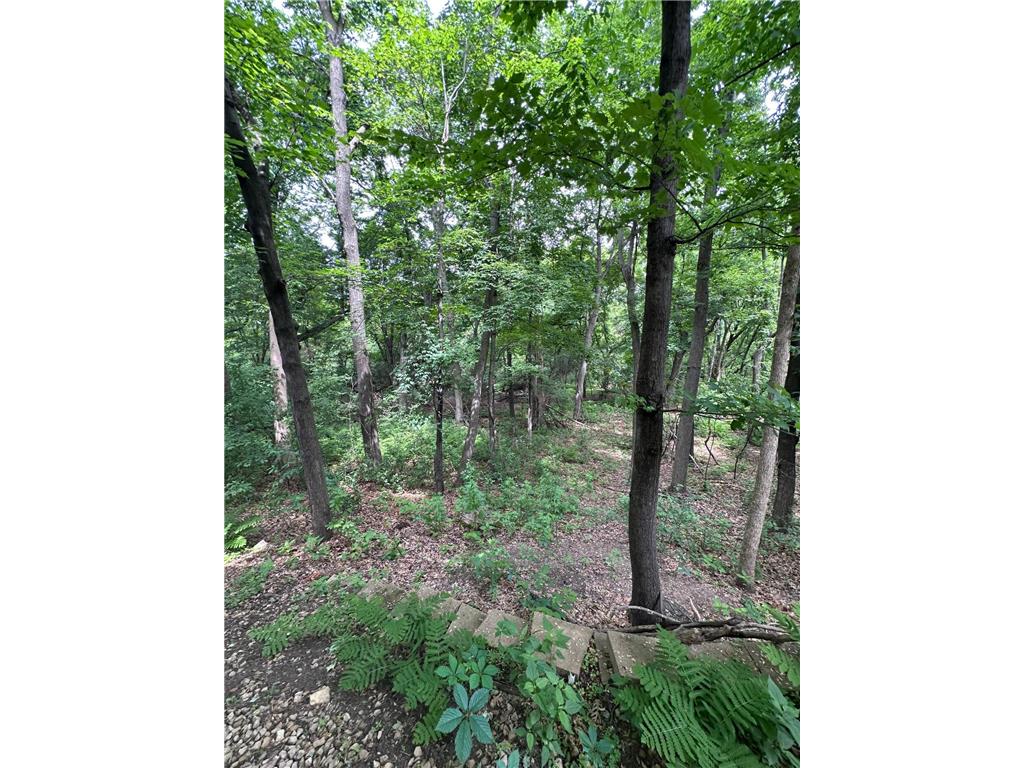 2149 126th Avenue NW Coon Rapids MN 55448 7086011 image15