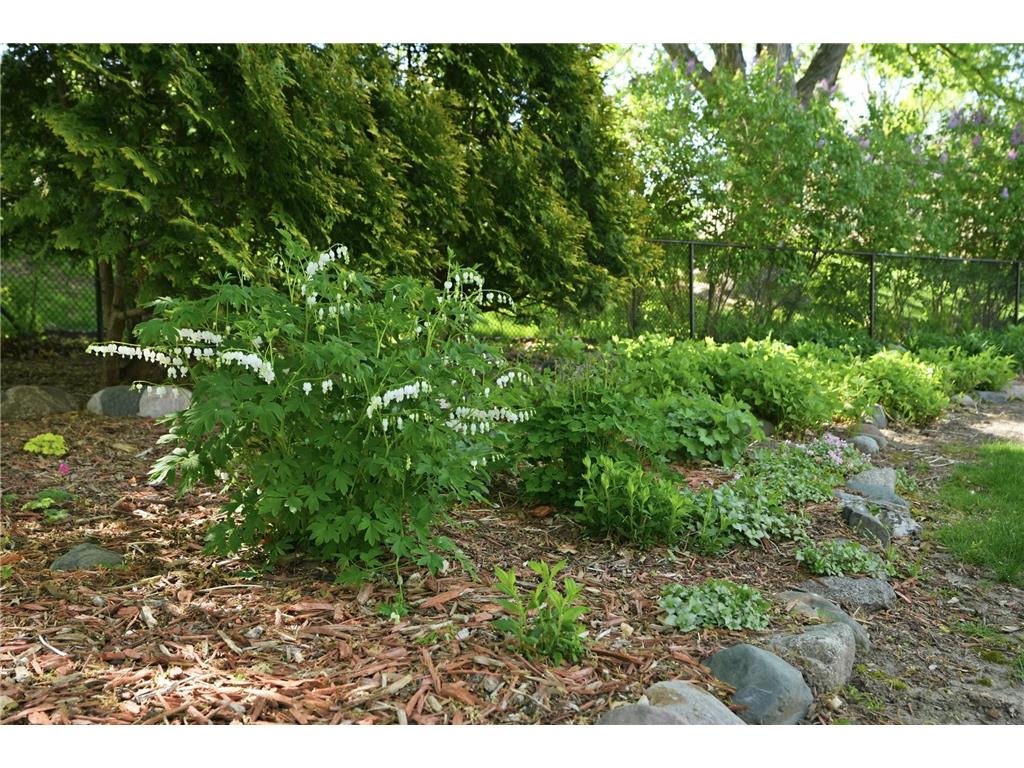 2149 Lamplight Drive Woodbury MN 55125 7065529 image31
