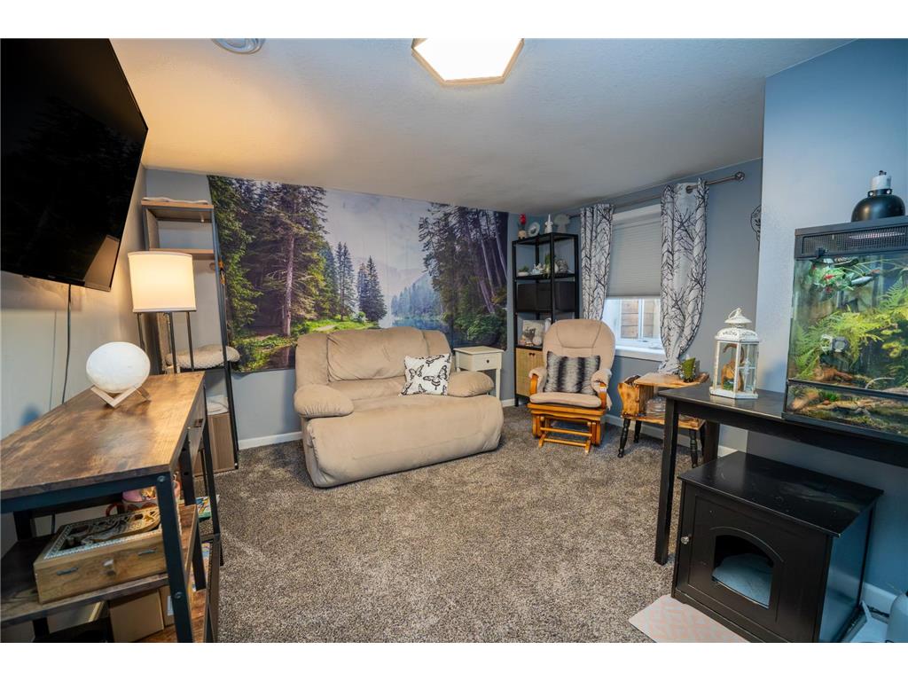 21497 120th Street Glenwood MN 56334 7048864 image32