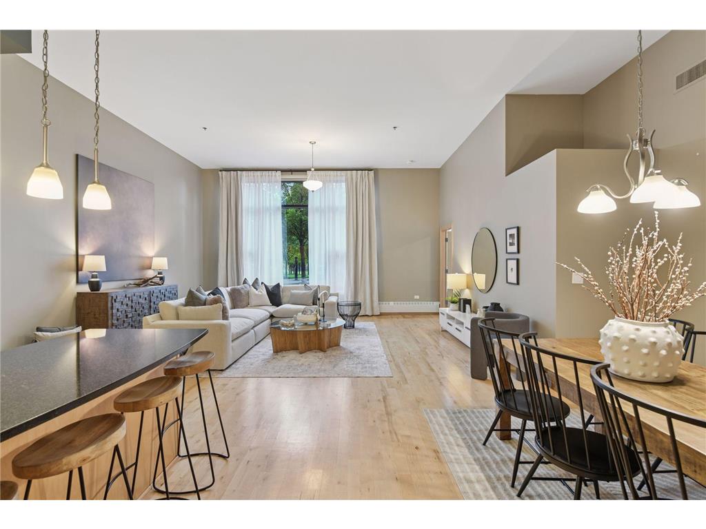 215 10th Avenue S #114 Minneapolis MN 55415 7020770 image1