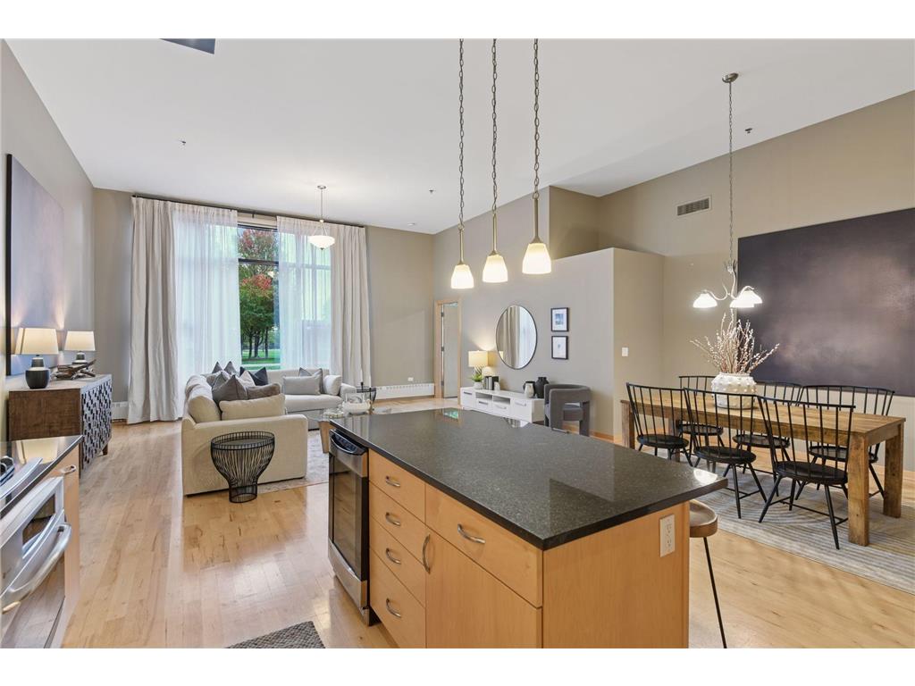 215 10th Avenue S #114 Minneapolis MN 55415 7020770 image11