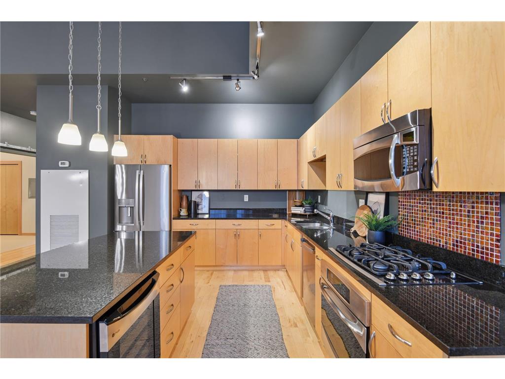 215 10th Avenue S #114 Minneapolis MN 55415 7020770 image13