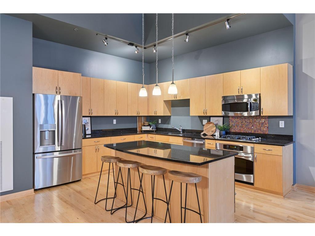 215 10th Avenue S #114 Minneapolis MN 55415 7020770 image14