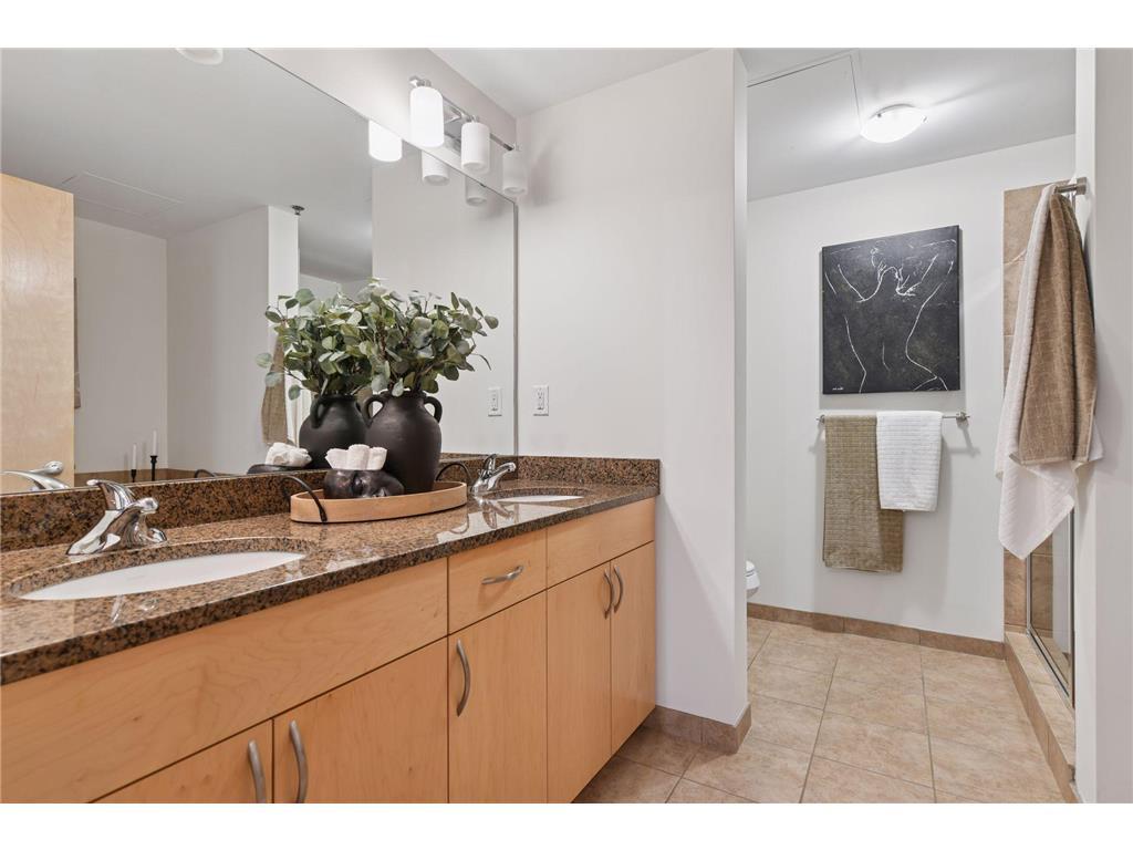 215 10th Avenue S #114 Minneapolis MN 55415 7020770 image20