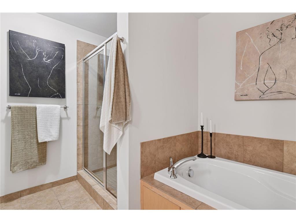 215 10th Avenue S #114 Minneapolis MN 55415 7020770 image21