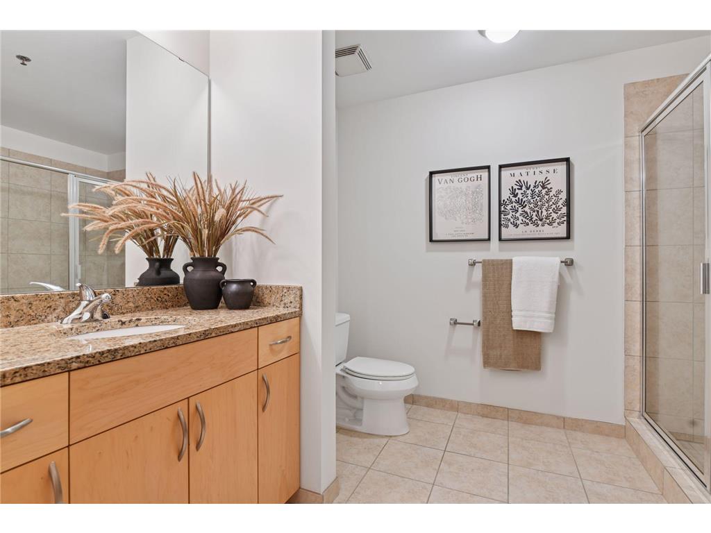 215 10th Avenue S #114 Minneapolis MN 55415 7020770 image27