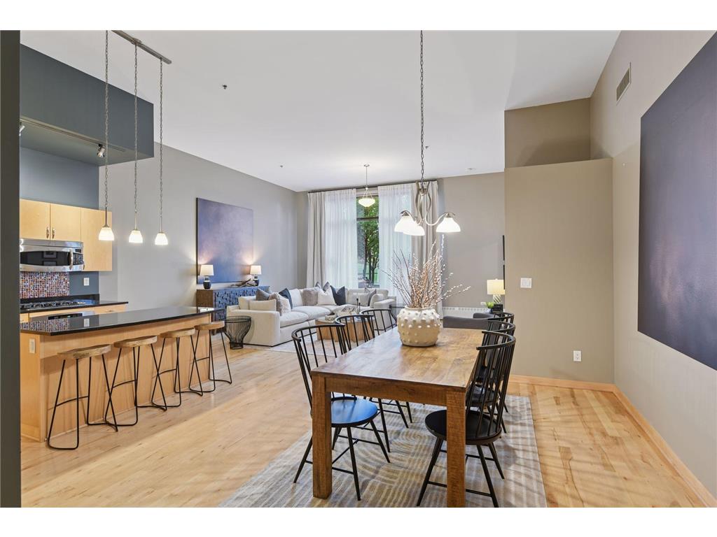 215 10th Avenue S #114 Minneapolis MN 55415 7020770 image8