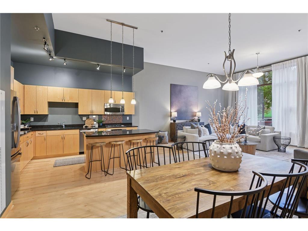 215 10th Avenue S #114 Minneapolis MN 55415 7020770 image9