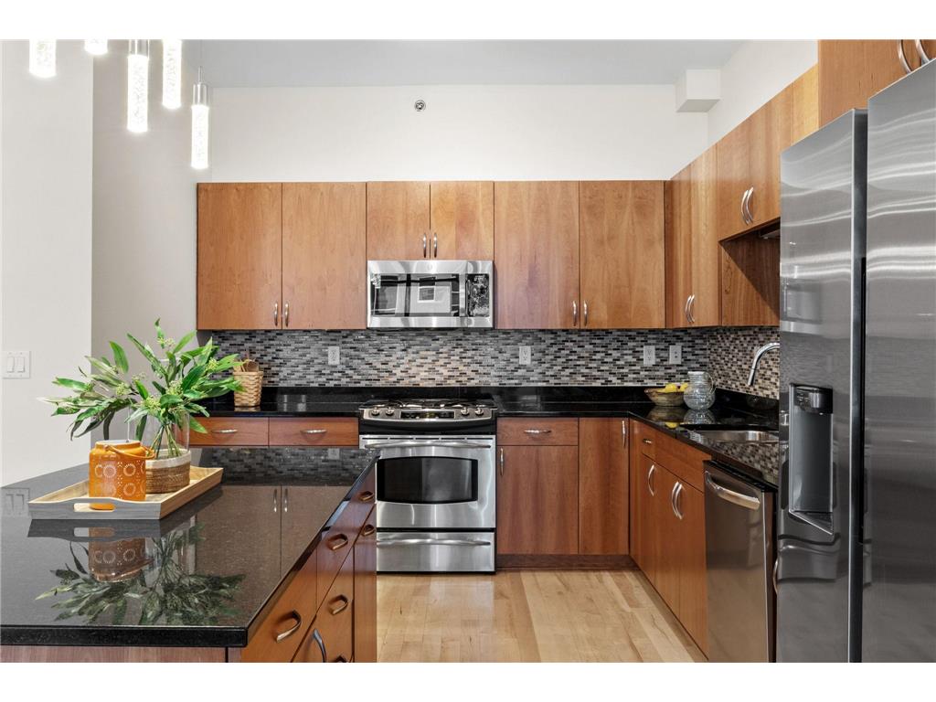 215 10th Avenue S #207 Minneapolis MN 55415 7071940 image10