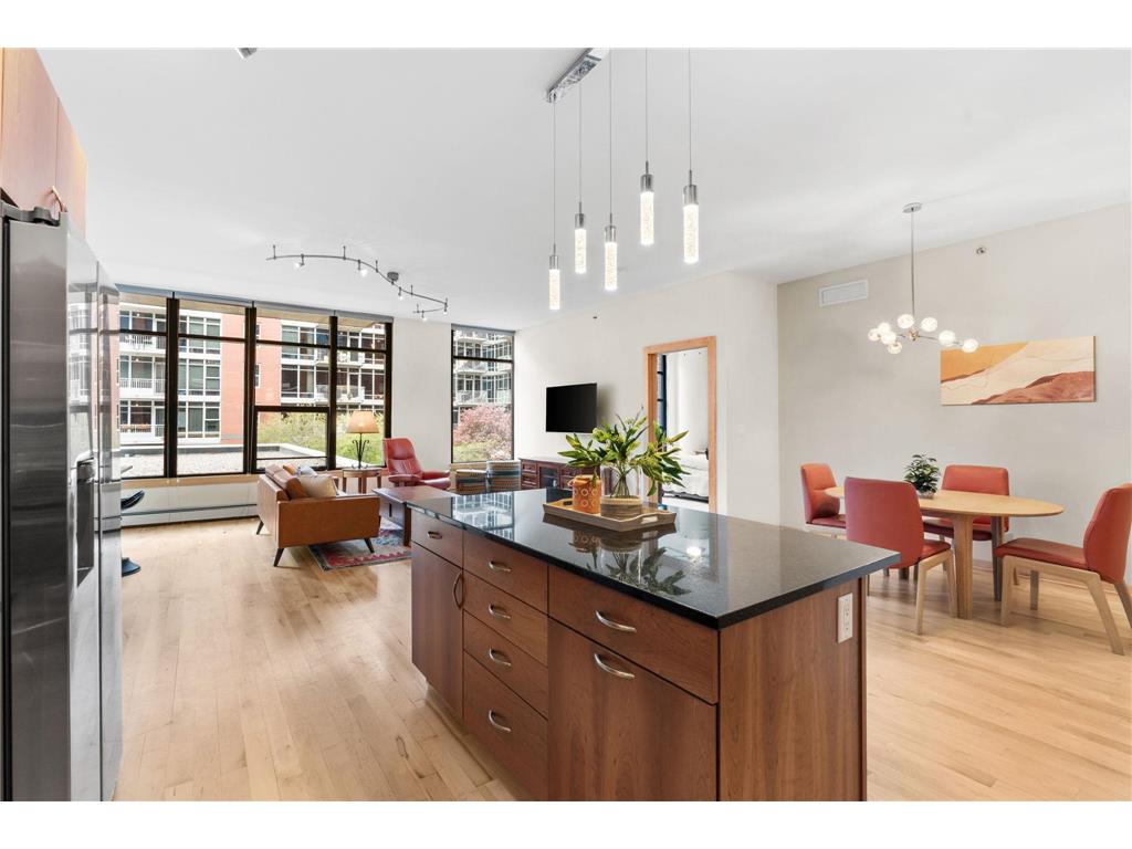 215 10th Avenue S #207 Minneapolis MN 55415 7071940 image11