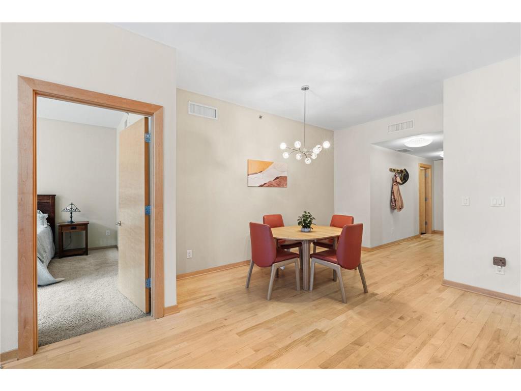 215 10th Avenue S #207 Minneapolis MN 55415 7071940 image16