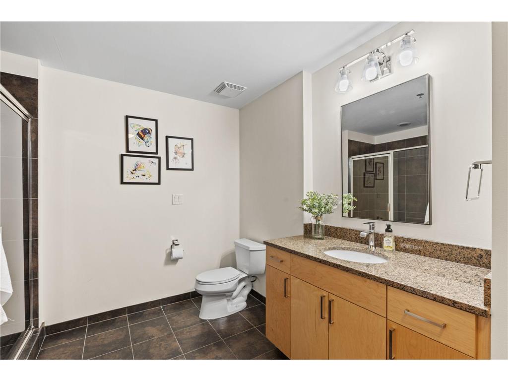 215 10th Avenue S #207 Minneapolis MN 55415 7071940 image26