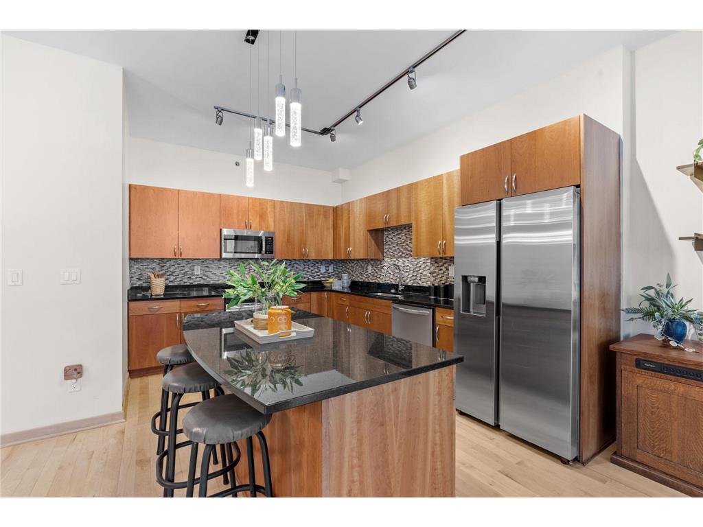 215 10th Avenue S #207 Minneapolis MN 55415 7071940 image7