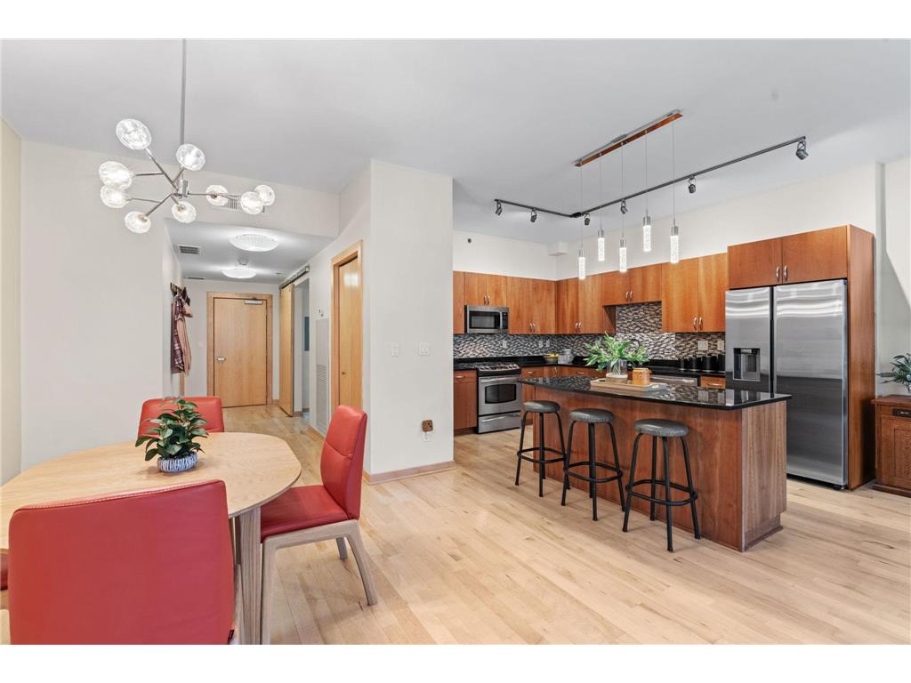 215 10th Avenue S #207 Minneapolis MN 55415 7071940 image8