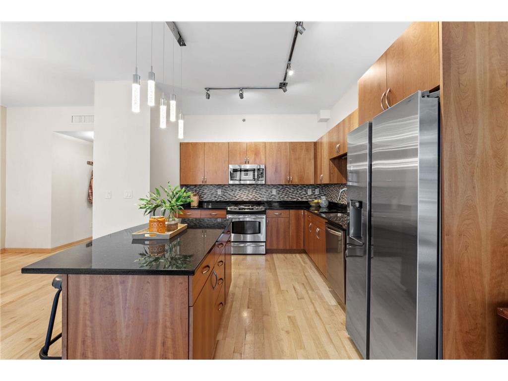 215 10th Avenue S #207 Minneapolis MN 55415 7071940 image9