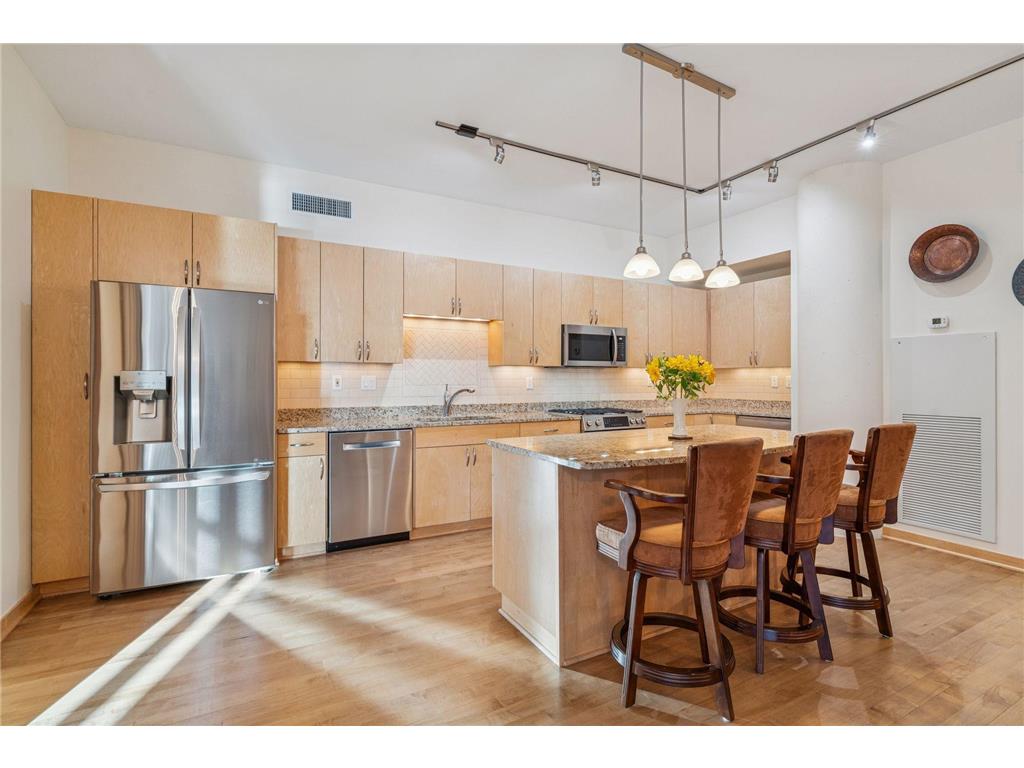 215 10th Avenue S #211 Minneapolis MN 55415 7000861 image1