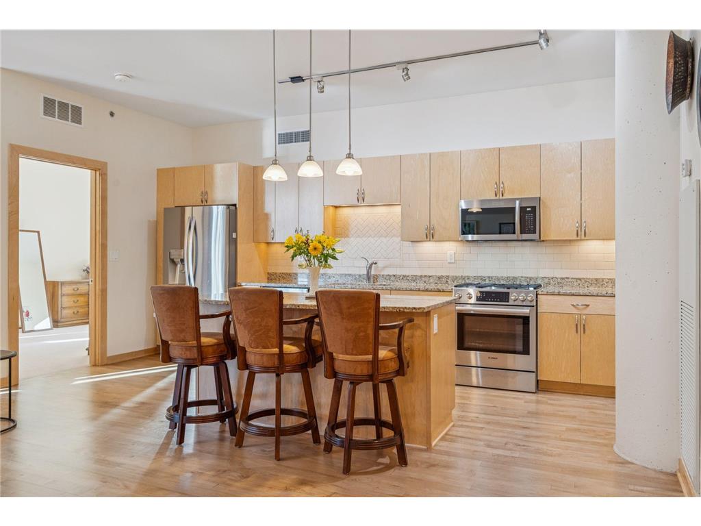 215 10th Avenue S #211 Minneapolis MN 55415 7000861 image14
