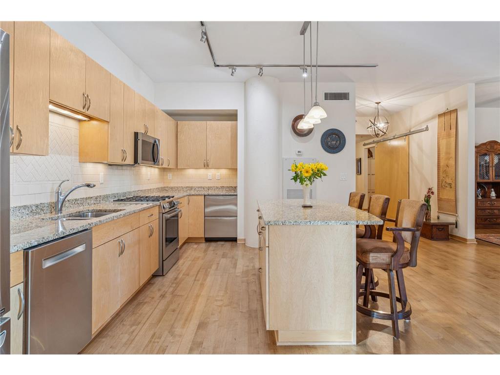 215 10th Avenue S #211 Minneapolis MN 55415 7000861 image16