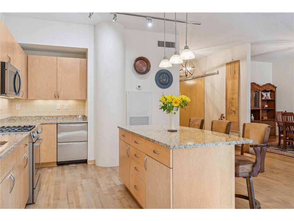 215 10th Avenue S #211 Minneapolis MN 55415 7000861 image17