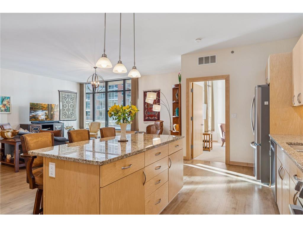215 10th Avenue S #211 Minneapolis MN 55415 7000861 image19