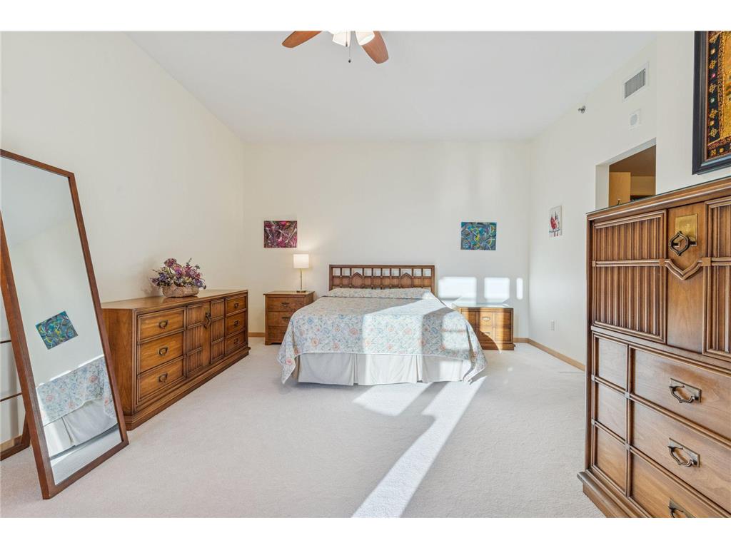 215 10th Avenue S #211 Minneapolis MN 55415 7000861 image29