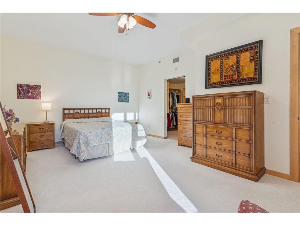 215 10th Avenue S #211 Minneapolis MN 55415 7000861 image30